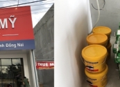 Sàn nhựa Glotex V250-1 tại Trường Anh Ngữ Việt Mỹ Đồng Nai