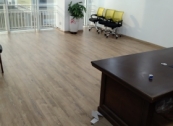 Sàn gỗ Charmwood E864 khai trương đầu năm mới 2021
