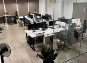 Sàn gỗ Glomax G087 lên sàn màu cực chất