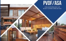 GỖ NHỰA HOBIWOOD ASA THẾ HỆ MỚI
